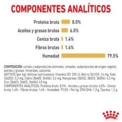 Royal Canin Adult Shih Tzu Paté sobre para perros