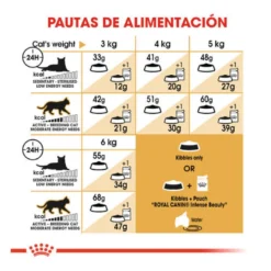 Royal Canin Adult Siamese pienso para gatos