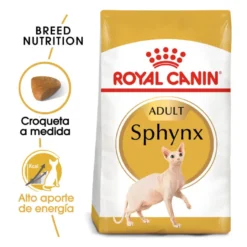 Royal Canin Adult Sphynx pienso para gatos
