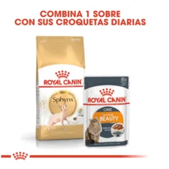 Royal Canin Adult Sphynx pienso para gatos