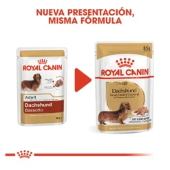 Royal Canin Adult Teckel paté en sobre para perros