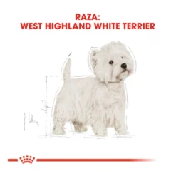 Royal Canin Adult White Terrier West Highland pienso para perros