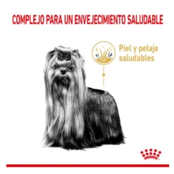 Royal Canin Adult 8+ Yorkshire pienso para perros