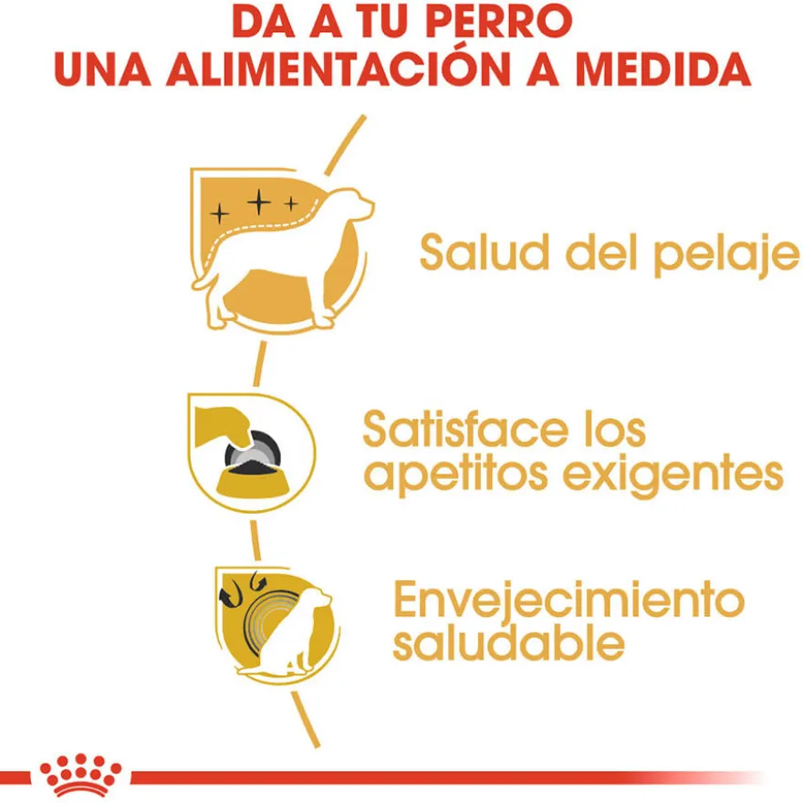 Royal Canin Adult Yorkshire Terrier pienso para perros