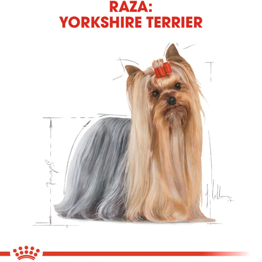 Royal Canin Adult Yorkshire Terrier pienso para perros