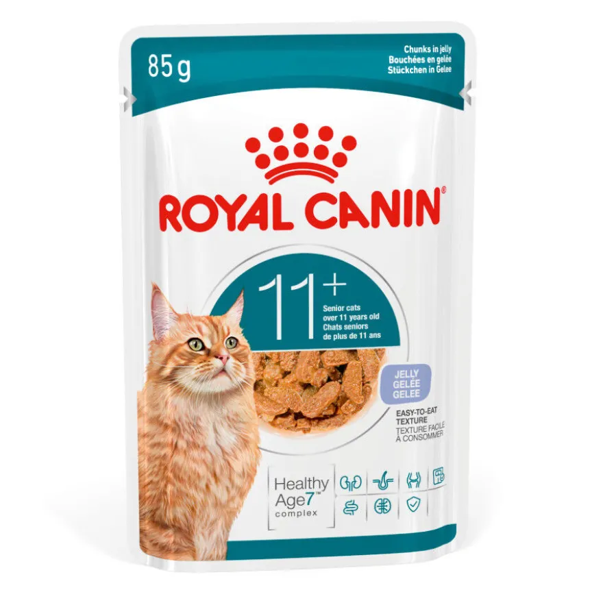 Royal Canin Ageing 11+ Comida Húmeda en gelatina para gatos senior