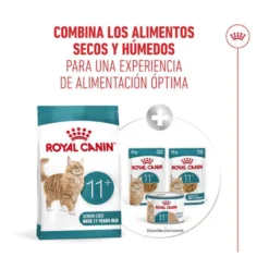 Royal Canin Ageing 11+ pienso para gatos senior