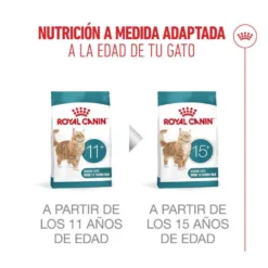 Royal Canin Ageing 11+ pienso para gatos senior