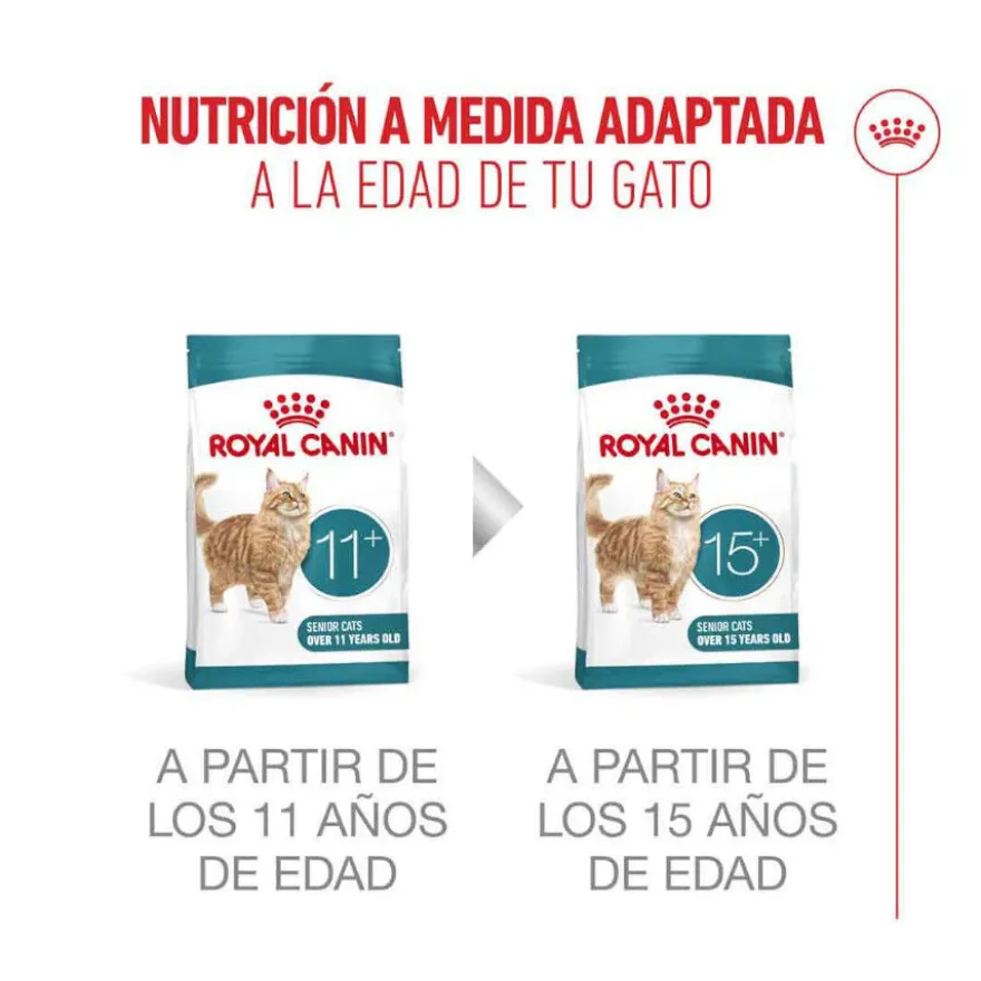 Royal Canin Ageing 11+ pienso para gatos senior