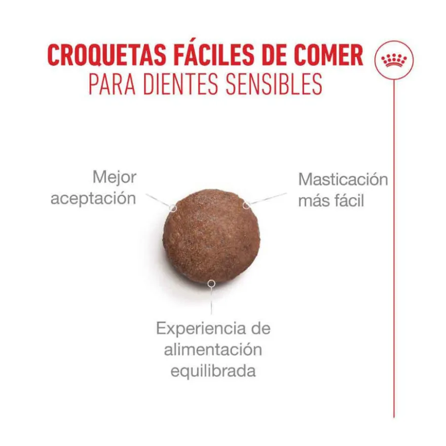 Royal Canin Ageing 11+ pienso para gatos senior
