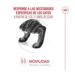 Royal Canin Ageing 11+ pienso para gatos senior