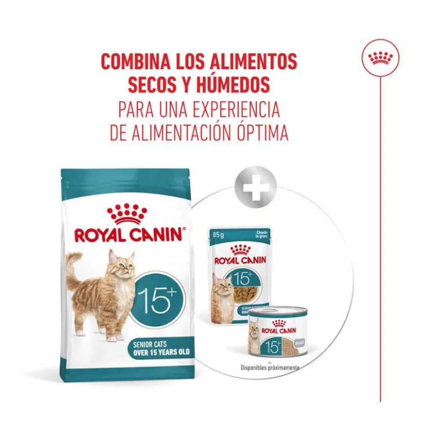 Royal Canin Ageing 15+ pienso para gatos senior