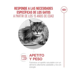 Royal Canin Ageing 15+ pienso para gatos senior