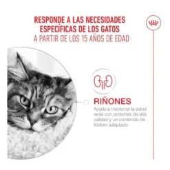 Royal Canin Ageing 15+ pienso para gatos senior