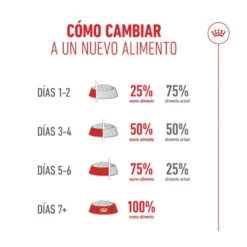 Royal Canin Ageing 15+ pienso para gatos senior