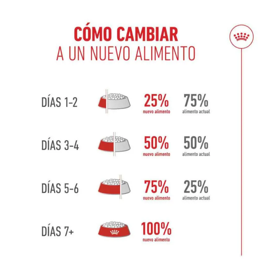 Royal Canin Ageing 15+ pienso para gatos senior