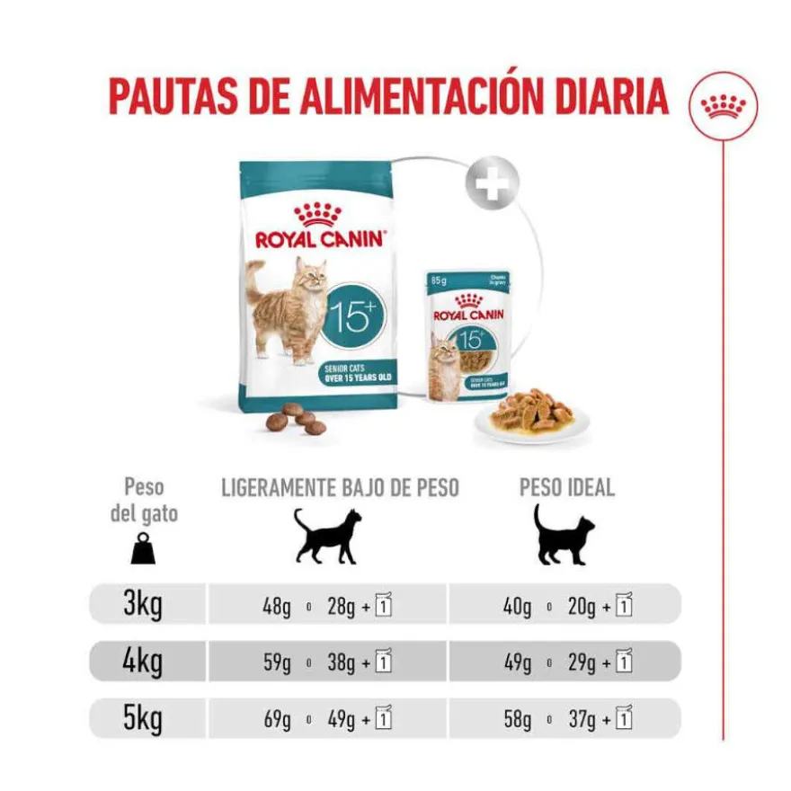 Royal Canin Ageing 15+ pienso para gatos senior