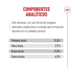 Royal Canin Ageing 15+ pienso para gatos senior