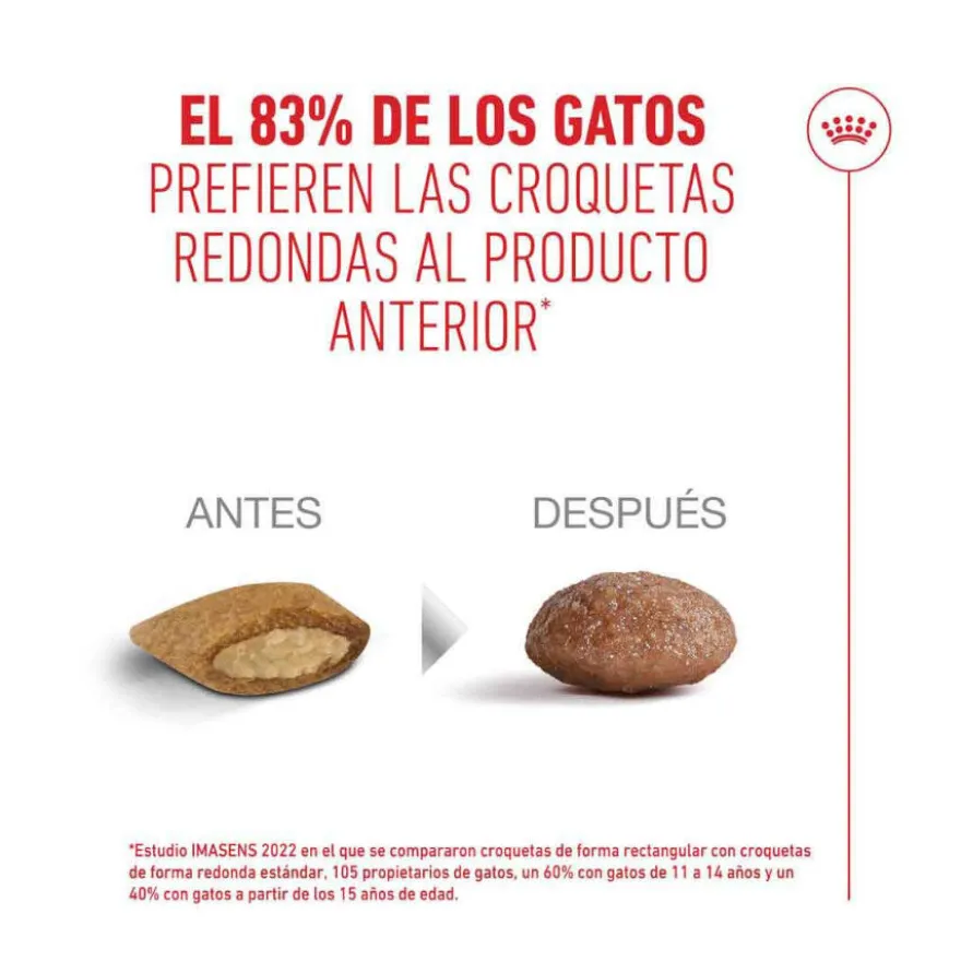 Royal Canin Ageing 15+ pienso para gatos senior