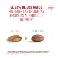 Royal Canin Ageing 11+ Sterilised pienso para gatos senior