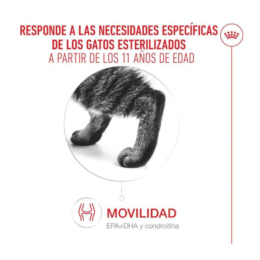 Royal Canin Ageing 11+ Sterilised pienso para gatos senior