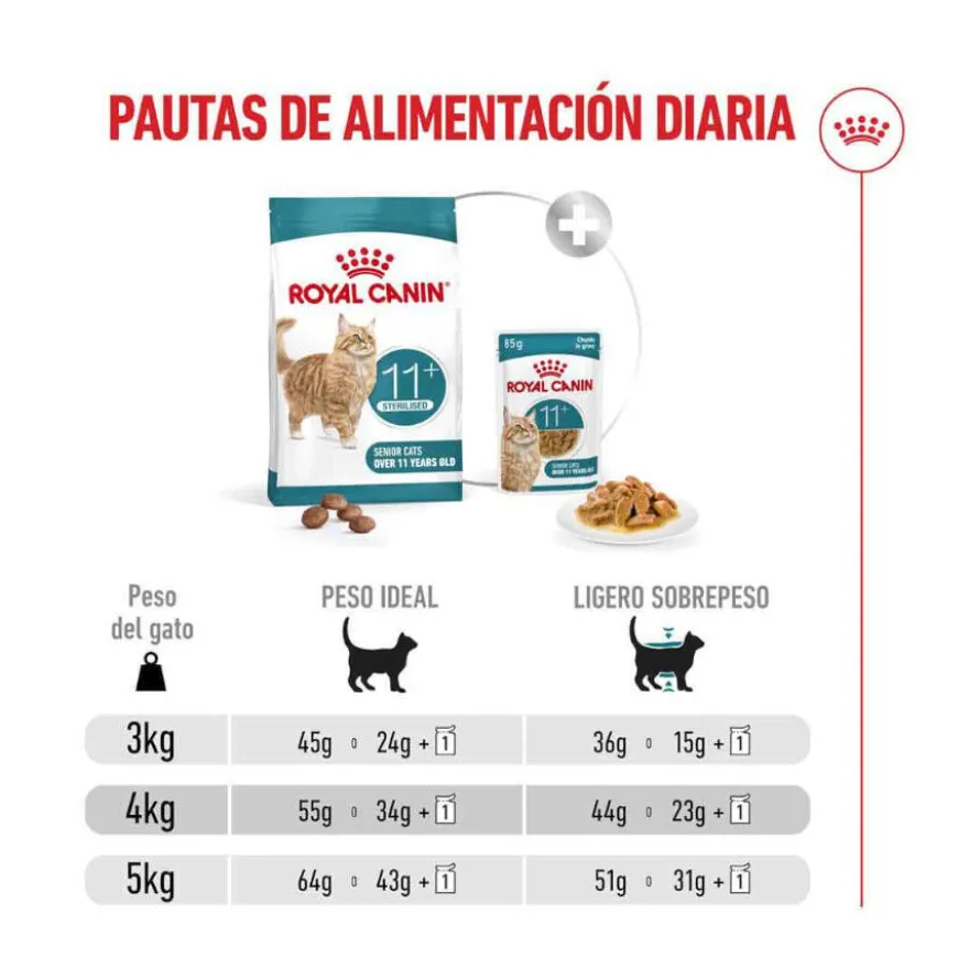 Royal Canin Ageing 11+ Sterilised pienso para gatos senior