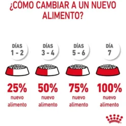 Royal Canin Appetite Control Care pienso para gatos