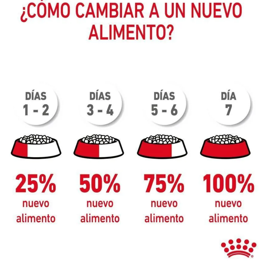 Royal Canin Appetite Control Care pienso para gatos