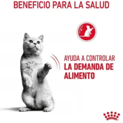 Royal Canin Appetite Control Care pienso para gatos