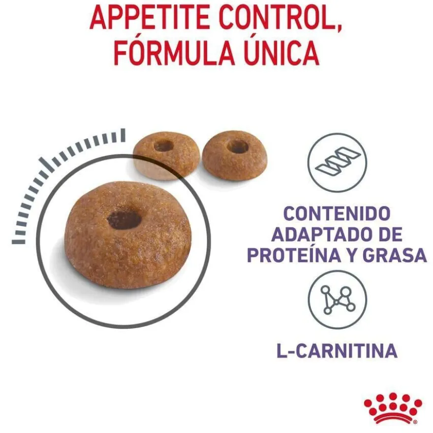 Royal Canin Appetite Control Care pienso para gatos