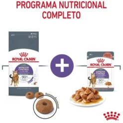 Royal Canin Appetite Control Care pienso para gatos