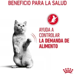 Royal Canin Appetite Control Care salsa sobre para gatos