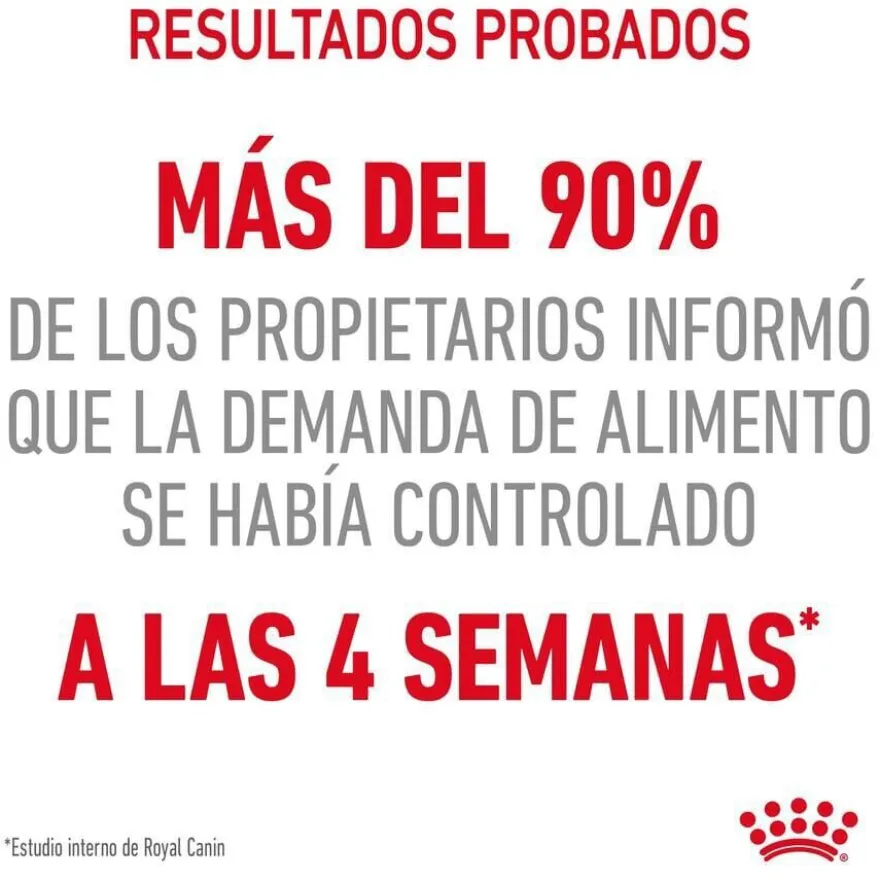 Royal Canin Appetite Control Care salsa sobre para gatos