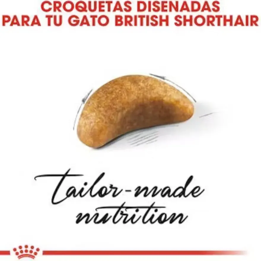 Royal Canin British Shorthair Kitten pienso para gatos