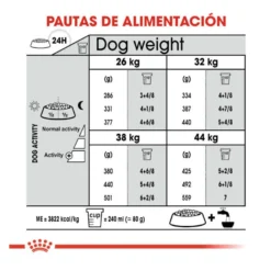 Royal Canin Dental Care Maxi pienso para perros