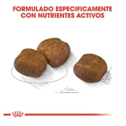 Royal Canin Dental Care Maxi pienso para perros