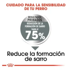 Royal Canin Dental Care Maxi pienso para perros