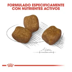 Royal Canin Dental Care Mini pienso para perros