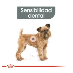 Royal Canin Dental Care Mini pienso para perros