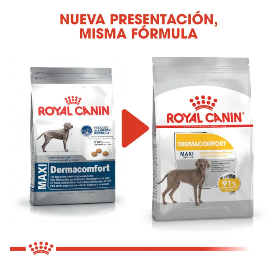 Royal Canin Dermacomfort Maxi pienso para perros