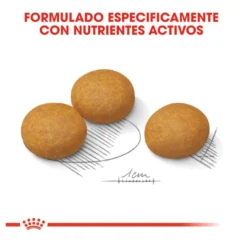 Royal Canin Dermacomfort Maxi pienso para perros
