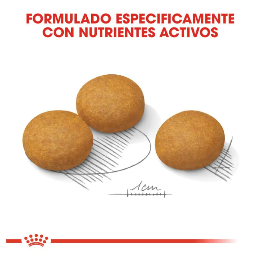 Royal Canin Dermacomfort Maxi pienso para perros