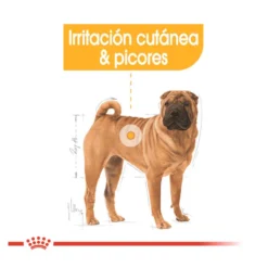 Royal Canin Dermacomfort Medium pienso para perros