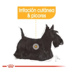 Royal Canin Dermacomfort Mini pienso para perros