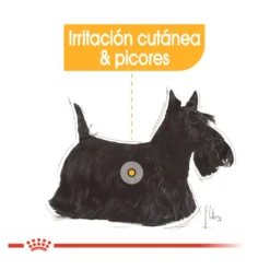 Royal Canin Dermacomfort Sobres Paté para perros