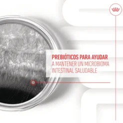 Royal Canin Digestion Chews Suplemento Nutricional para perros con sensibilidad
