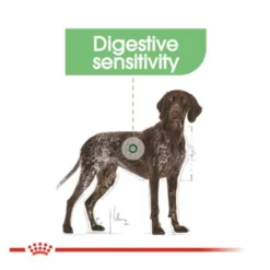 Royal Canin Digestive Care Maxi pienso para perros