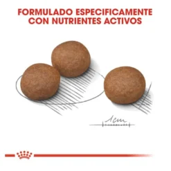 Royal Canin Digestive Care Medium pienso para perros