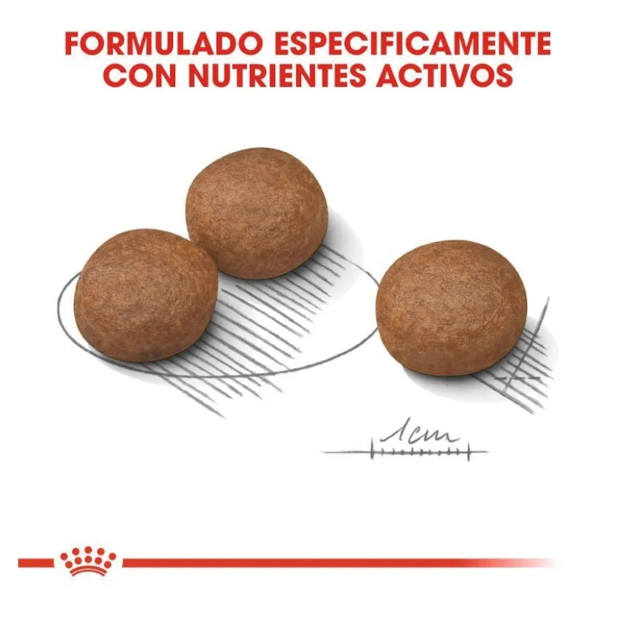 Royal Canin Digestive Care Medium pienso para perros