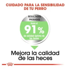 Royal Canin Digestive Care Medium pienso para perros